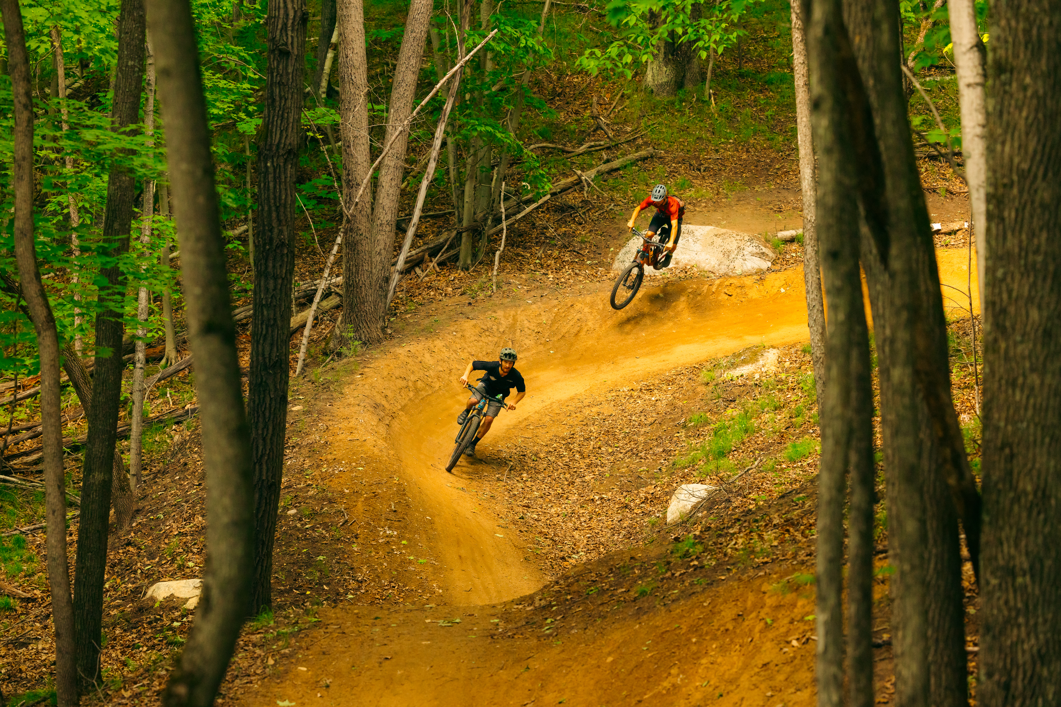 Two mountain bikers navigate a winding dirt trail in a lush green forest. One rider leans into a turn, while the other is airborne, showcasing their skills amidst tall trees and scattered leaves on the ground. East Branch Community Trails mountain bike trail.