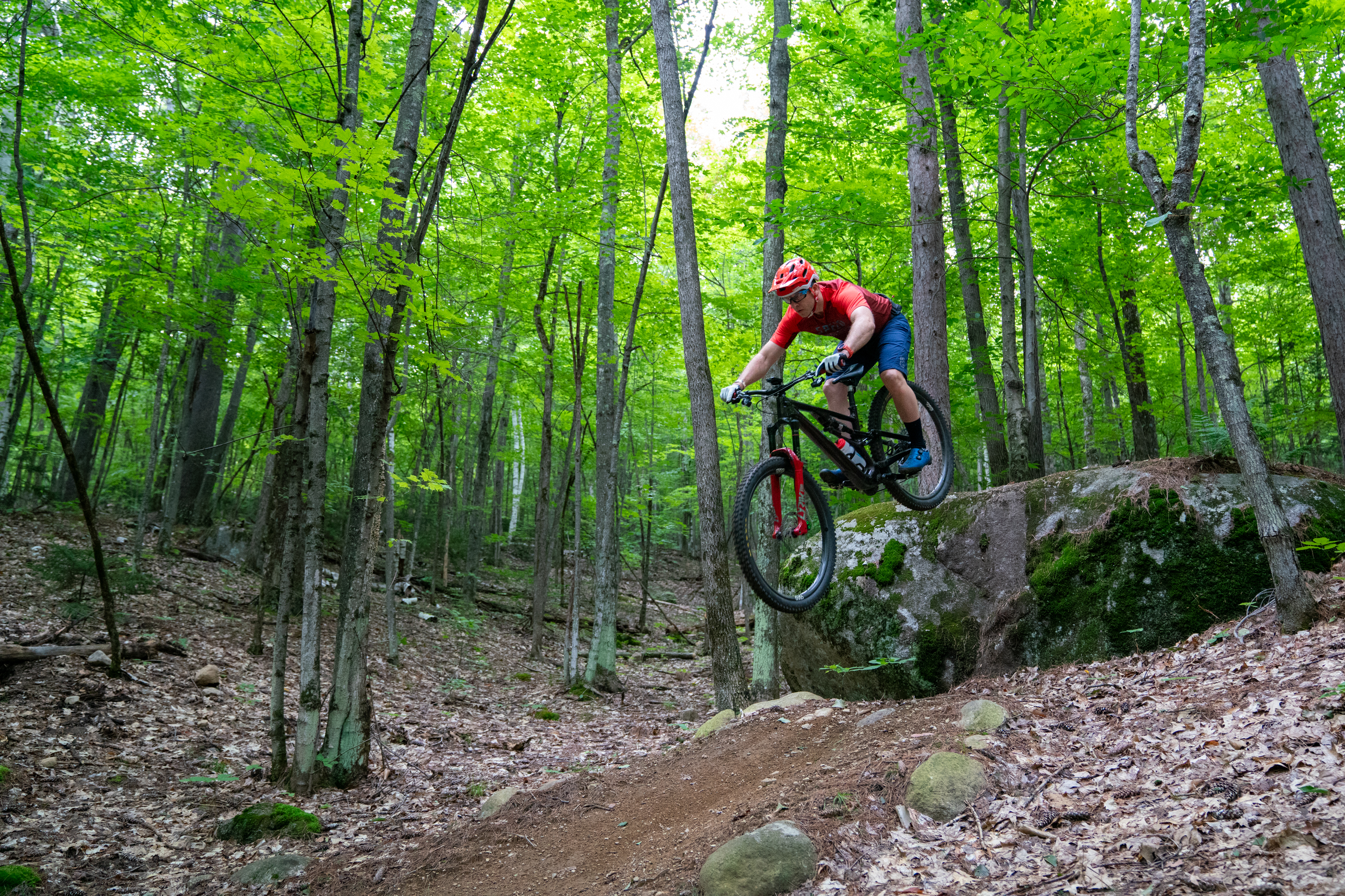 A mountain biker in a red jersey and helmet jumps off a rock in a lush green forest, with tall trees and leaves surrounding the trail. The bike