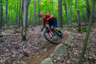 A mountain biker in a red shirt and helmet navigates a dirt trail through a lush green forest, leaning into a turn as they maneuver around large rocks and trees. The ground is covered in leaves and pine cones, showcasing a natural, rugged terrain. Hardy Road mountain bike trail.