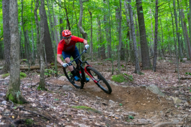 A mountain biker in a red shirt and helmet navigates a twisting trail through a forest, surrounded by tall trees and lush greenery. The rider leans into a corner, showcasing skill and agility on the rugged terrain. Hardy Road mountain bike trail.