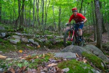 A mountain biker navigates a rocky trail in a lush green forest, surrounded by tall trees and vegetation. The biker is wearing a red helmet and a red t-shirt, focusing intently as he maneuvers over large stones and mossy ground. The scene captures a sense of adventure and outdoor activity. Hardy Road mountain bike trail.