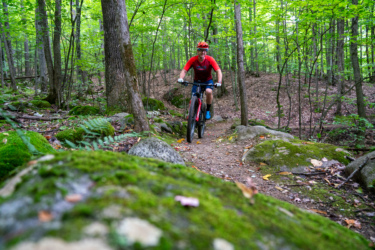 A mountain biker riding along a rocky, dirt trail surrounded by lush green trees and mossy rocks in a forested area. The cyclist is wearing a red jersey and a helmet, navigating the trail with a focused expression. Hardy Road mountain bike trail.