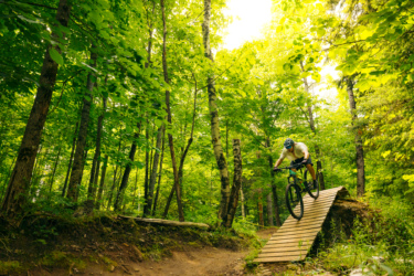 A mountain biker jumps off a wooden ramp in a dense, green forest, with sunlight filtering through the trees. Mount Pisgah Ski Area mountain bike trail.
