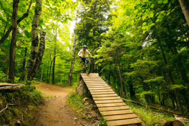 A mountain biker riding down a wooden ramp in a lush green forest, surrounded by trees and foliage. The path curves to the right, leading deeper into the woods. Mount Pisgah Ski Area mountain bike trail.