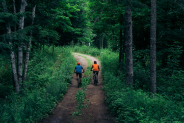 Two mountain bikers ride along a winding dirt path in a lush, green forest. They are surrounded by tall trees and vibrant vegetation, creating a scenic outdoor atmosphere. One rider is wearing a blue shirt and a red helmet, while the other is dressed in an orange shirt. Mount Pisgah Ski Area mountain bike trail.