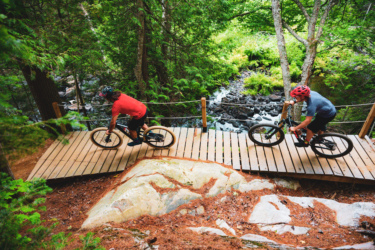 Two mountain bikers navigating a wooden bridge in a lush green forest, with a rocky stream visible below. The first biker, wearing a red shirt and helmet, is riding down a slight incline, while the second biker in a gray shirt approaches the bridge from the opposite direction. Pine trees and foliage frame the scene, creating a vibrant outdoor atmosphere. Crystal Creek mountain bike trail.