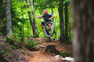 A mountain biker performing a jump on a wooded trail, with green trees and foliage in the background. The rider is wearing a red helmet and is focusing on the landing while airborne over a dirt path. Crystal Creek mountain bike trail.
