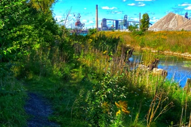 A narrow, winding path bordered by lush greenery leads toward a body of water. In the background, industrial structures and a large pile of materials are visible under a bright blue sky with scattered clouds. Black Oak mountain bike trail.