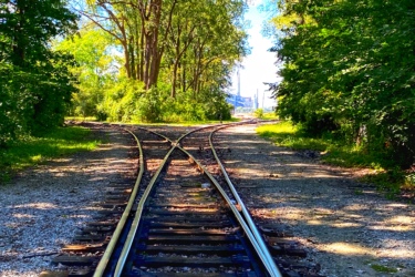 A pair of railway tracks diverging in a wooded area, surrounded by lush green trees and dappled sunlight, leading towards a brighter area in the distance. Black Oak mountain bike trail.