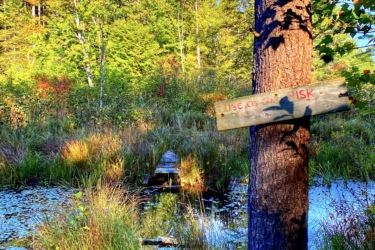 A tranquil scene of a forested area with a wide variety of greenery and trees under a blue sky. In the foreground, a wooden sign attached to a tree warns "Use at your own risk." A small, rustic wooden bridge extends over a pond covered with lily pads, surrounded by tall grasses and foliage, creating a peaceful yet cautious invitation to explore the natural setting. Forest Lea Trail System mountain bike trail.