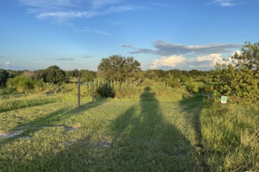 A scenic view of a grassy pathway leading into a lush, green landscape, with trees and shrubs in the background under a blue sky with scattered clouds. A wooden signpost is visible on the left, and a green informational sign is placed on the right side of the path. The sunlight casts long shadows on the grass, creating a tranquil atmosphere. Balm Boyette Scrub Preserve mountain bike trail.