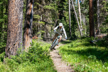 A person in a helmet riding a mountain bike along a dirt trail in a forest, surrounded by tall trees and greenery, with sunlight filtering through the branches. The rider is leaning into a turn, kicking up dust behind them. Williams Summit Trails mountain bike trail.