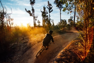 A mountain biker riding along a dirt trail during sunset, surrounded by tall trees. Dust is rising from the trail as the sun casts a warm glow, creating a picturesque outdoor scene filled with natural beauty. Mogo Trails mountain bike trail.
