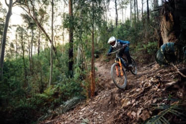 A mountain biker riding down a narrow, dusty trail surrounded by lush green trees and foliage, with the sun setting in the background. The cyclist is wearing protective gear, including a helmet, as they navigate a rocky section of the path. Mogo Trails mountain bike trail.