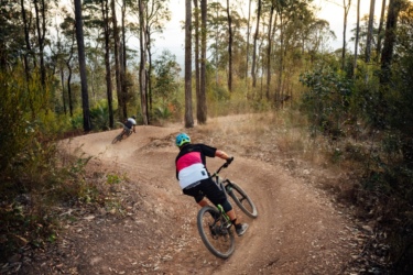 Two mountain bikers navigate a winding dirt trail through a wooded area, surrounded by trees and greenery. Dust is kicked up as they lean into the curves on the path, showcasing a dynamic action shot. The scene captures the thrill of mountain biking in a natural setting at dusk. Mogo Trails mountain bike trail.