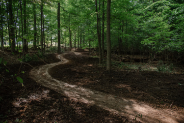 A winding dirt path meanders through a green forest, surrounded by tall trees and lush foliage. The ground is mostly bare, indicating recent clearing, while dappled sunlight filters through the leaves, creating a serene, natural atmosphere. Legacy Park mountain bike trail.