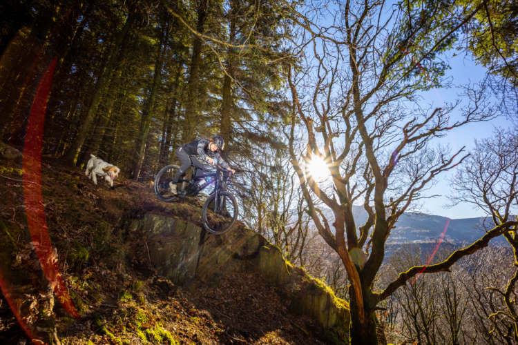 A mountain biker navigating a rocky trail in a forest, with sunlight filtering through the trees. A dog runs alongside the biker as they descend over a small cliff. The scene captures the excitement of outdoor adventure in a vibrant natural setting.