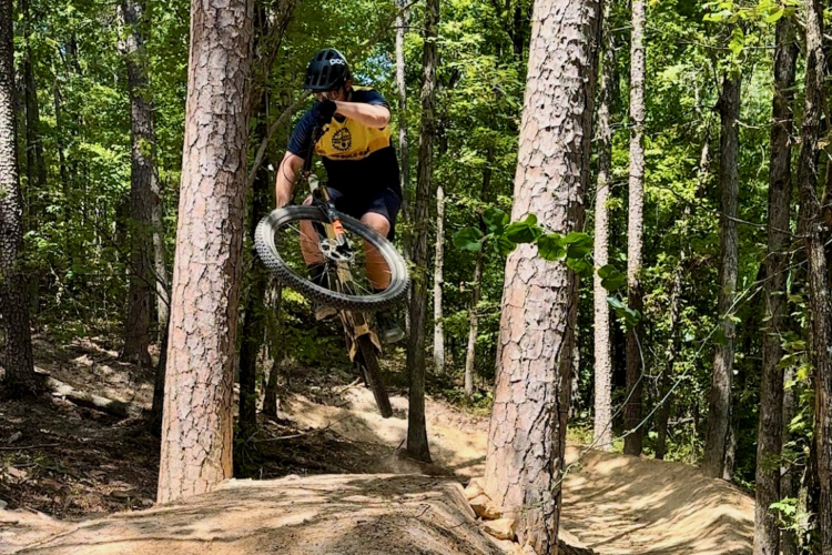 A mountain biker jumps off a dirt ramp on a forest trail, navigating between tall trees in a lush green setting. The rider is wearing a helmet and a yellow and black jersey, showcasing an expression of focus and excitement as they catch air on their bike.
