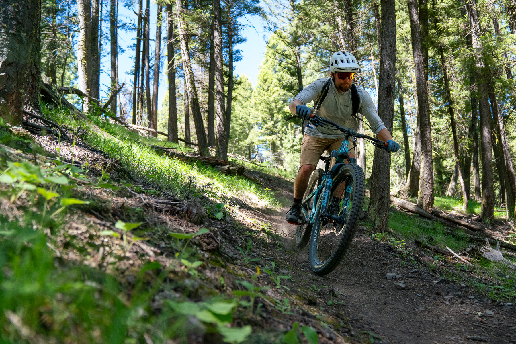 A person riding a mountain bike along a wooded trail, surrounded by tall trees and greenery. The cyclist is wearing a helmet, sunglasses, and a light-colored shirt, and appears to be in motion, navigating the uneven path. Sunlight filters through the trees, illuminating the scene. Williams Summit Trails mountain bike trail.