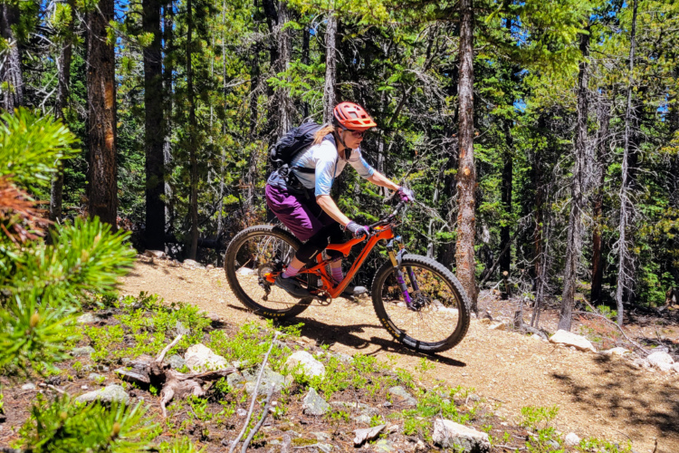 A person riding a mountain bike on a dirt trail surrounded by tall trees and greenery. The cyclist, wearing a helmet and a backpack, is navigating a bend in the trail on a bright, sunny day.