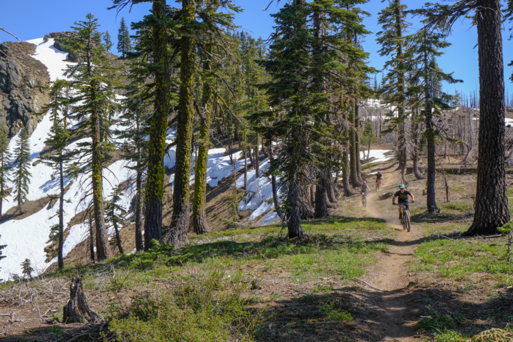 Mountain bikers riding on a winding dirt trail surrounded by tall pine trees, with patches of snow visible on the ground. The scene features a clear blue sky and vibrant greenery, showcasing a spring or summer day in a mountainous area.