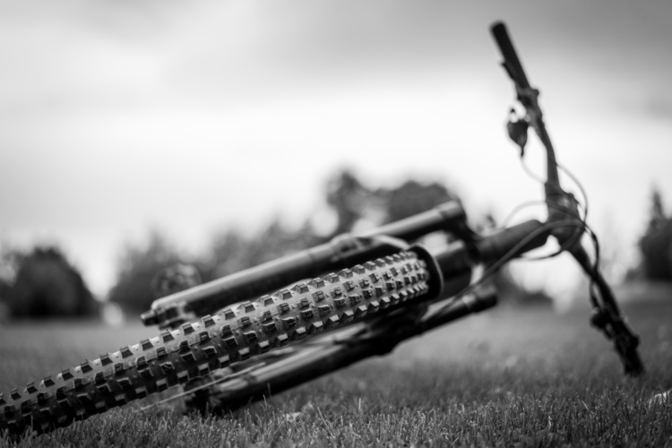 A close-up view of a mountain bike lying on grassy ground, with a focus on the tire tread and handlebars. The image is in black and white, featuring a blurred background of trees and cloudy skies.