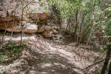 A narrow dirt path winding through a forested area, flanked by tall trees and rocky outcrops. Sunlight filters through the leaves, casting shadows on the ground littered with fallen leaves and small stones. Needleseye Park mountain bike trail.