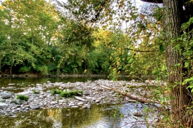 A serene landscape featuring a calm river with smooth stones and greenery along the banks. Trees with yellowing leaves frame the scene, reflecting in the water under a clear sky. Autumn foliage adds color to the tranquil setting. Western University trails mountain bike trail.