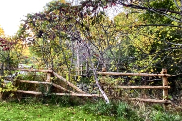 A rustic wooden fence surrounded by trees and greenery, with scattered fallen leaves on a vibrant green lawn. The scene depicts a tranquil outdoor area, suggesting a peaceful natural setting.