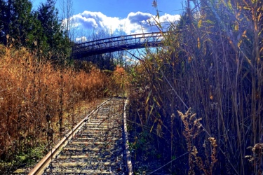 A scenic view of an overgrown railway track surrounded by tall grasses and greenery, with a bright blue sky above and a shining sun. A pedestrian bridge is visible in the background, partially obscured by clouds. The track is lined with gravel and wooden ties, indicating neglect, while the vibrant colors of the foliage and sunlight create a warm and inviting atmosphere. Forks of the Credit mountain bike trail.