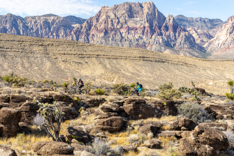 Two mountain bikers ride along rocky terrain in a desert landscape, with rugged mountains in the background under a partly cloudy sky. The scene features sparse vegetation, including yucca plants and a few shrubs scattered among the rocks.