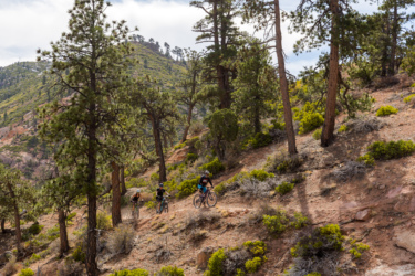 Two mountain bikers navigate a rugged trail through a forested hillside, surrounded by tall pine trees and patches of green shrubbery. The backdrop features rolling hills and rocky terrain under a partly cloudy sky. Ella Mountain Trail mountain bike trail.