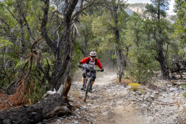 A mountain biker wearing a red shirt and helmet navigates a rocky trail surrounded by trees, kicking up dust as he rides. Tin Can Alley mountain bike trail.