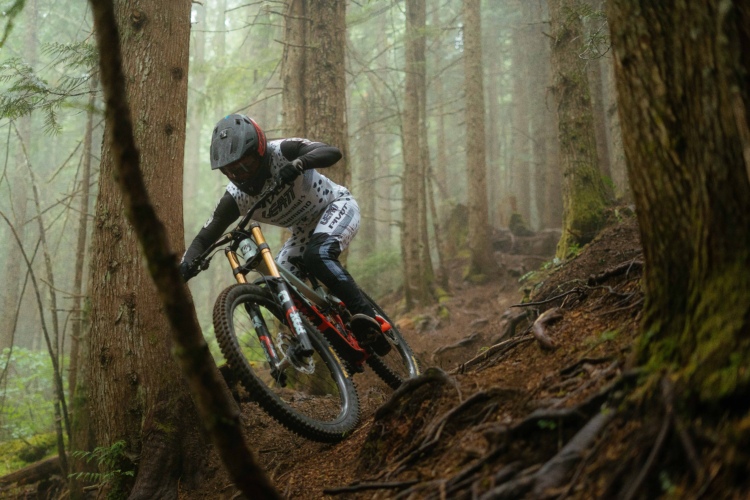 A mountain biker in protective gear navigates a steep, root-covered trail through a misty forest. Tall trees surround the path, creating a serene yet challenging environment for off-road cycling.