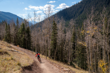 A mountain biker navigates a winding dirt path through a wooded area, with pine trees and sparse autumn foliage on either side. The backdrop features a mountainous landscape under a bright blue sky with scattered clouds. Baker's Park mountain bike trail.