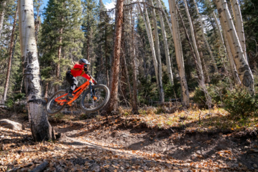 A mountain biker in a red jacket jumps over a trail surrounded by tall trees in a forest. The rider's bike is orange, and leaves cover the ground beneath them. Sunlight filters through the trees, creating a vibrant outdoor scene. Baker's Park mountain bike trail.