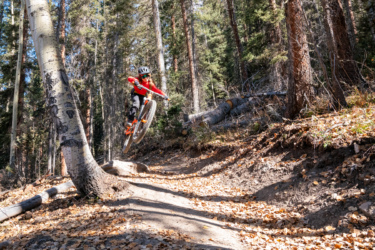 A person in a red shirt and black pants is riding a mountain bike, jumping off a rocky ledge along a dirt trail surrounded by pine trees and scattered autumn leaves. Baker's Park mountain bike trail.