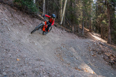 A mountain biker rides along a dirt trail, leaning into a turn with trees lining the path. The biker is wearing a helmet and sunglasses, and the bike is brightly colored. The background features a mix of pine and aspen trees, typical of a forested area. Baker's Park mountain bike trail.