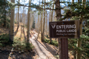 A brown sign that reads "ENTERING PUBLIC LANDS" is prominently displayed in a forested area. The background features tall trees with sunlight filtering through, creating a tranquil natural setting. The sign includes a message encouraging visitors to "Help Keep Your Land Clean." A dirt path winds through the trees in the background. Baker's Park mountain bike trail.