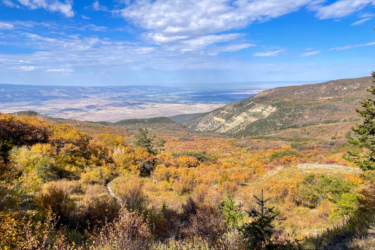 A panoramic view of a mountainous landscape during autumn, featuring vibrant orange, yellow, and green foliage. The scene includes rolling hills and distant valleys under a partly cloudy blue sky, creating a picturesque natural setting. A winding trail leads through the foreground vegetation, inviting exploration. Palisade Plunge mountain bike trail.