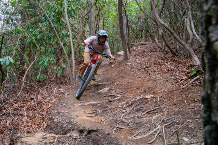 A mountain biker in a helmet and protective gear navigates a winding trail surrounded by trees and foliage, showcasing skillful riding on a dirt path with roots and leaves.