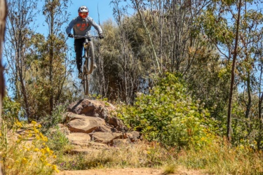 A mountain biker jumps off a large rock while riding on a dirt trail surrounded by trees and greenery, with bright blue skies in the background. Stromlo Forest Park mountain bike trail.
