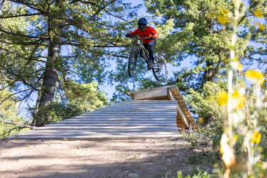 A mountain biker in a red long-sleeve jersey and black pants performs an aerial jump off a wooden ramp surrounded by trees, with a clear blue sky in the background. The bike is mid-air, showcasing the rider's skill and the dynamic movement of the activity. Deer Jumps mountain bike trail.