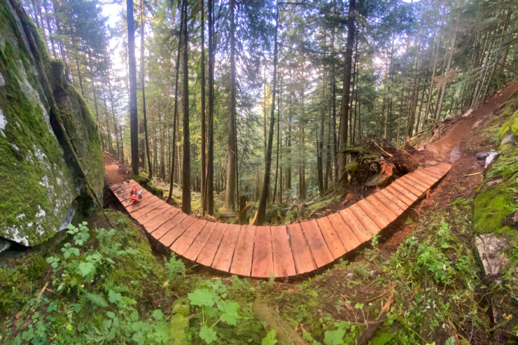 A wooden bridge winding through a lush forest, surrounded by tall trees and moss-covered rocks, with a dirt path leading into the greenery. The scene captures a serene and inviting natural setting.
