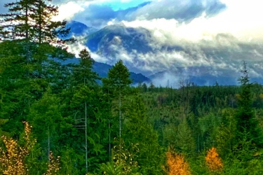 A scenic view of a lush green forest with various coniferous trees in the foreground, transitioning into a mountainous background partially cloaked in clouds. The sky shows a mix of blues and grays, and hints of autumn colors are visible in the trees amid the greenery. 42nd Street mountain bike trail.
