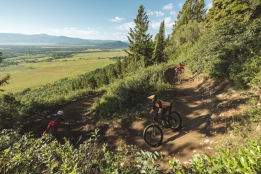 Mountain bikers navigating a winding trail through lush greenery, with a panoramic view of rolling fields and distant mountains under a clear blue sky. Solitoga mountain bike trail.