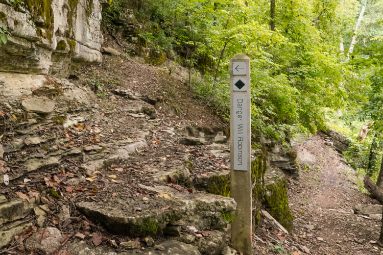 A wooden signpost with the text "Danger Will Robinson" stands on a rocky, leaf-strewn path in a lush green forest. The surrounding area is dotted with trees, and the trail curves into the distance, indicating a natural hiking route with potential hazards.
