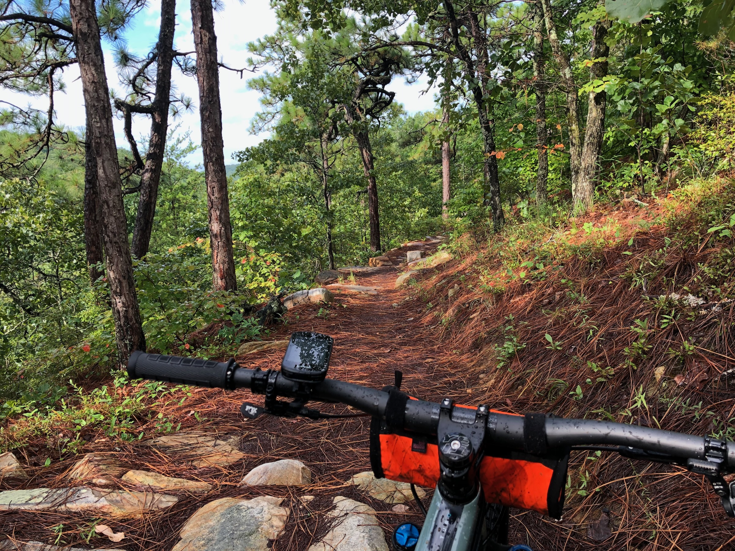 An image showing a mountain biking trail surrounded by dense greenery. The view is from the perspective of a cyclist, highlighting the handlebars of a bike. The trail is lined with rocks and a carpet of pine needles, leading into a lush forest. Bright green trees and some patches of sunlight are visible in the background, indicating a sunny day. Chilhowee mountain bike trail.