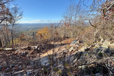 A scenic view from a rocky hillside, showcasing a forested landscape with autumn foliage. The foreground features scattered rocks and fallen branches, while the background reveals a vast valley and distant mountains under a clear blue sky. Bomb Dog mountain bike trail.