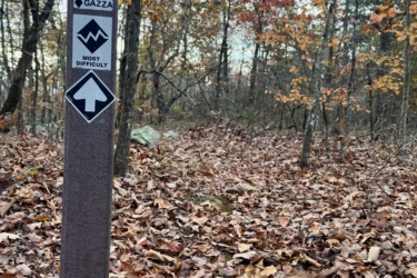 A trail sign marked "CWM355" indicating a difficult hiking trail, with the word "GAZZA" and symbols for difficulty level. The background features trees with autumn foliage and a ground covered in fallen leaves. Gazza mountain bike trail.